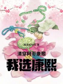 康熙和阿哥们都爱女主的清穿