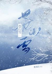 苍山雪的诗句