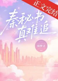 秦谜完整版书
