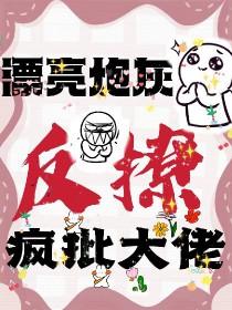 漂亮炮灰cp是谁