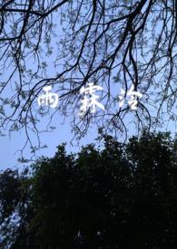 女主叫雨霖