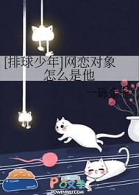 排球少年谁有女朋友
