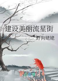 猎人同人文主角流星街人