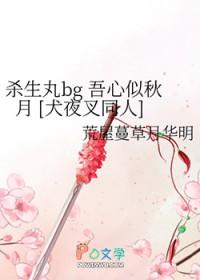 吾心似秋月是什么意思