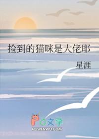 捡到大猫可以养吗