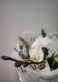 我的未婚妻居然怂恿她们向我告白