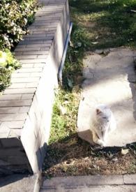 媚欢(宋景和) 笔趣阁