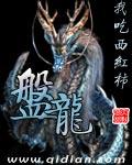 盘龙等级划分