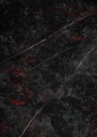 娇妻养成日记在线阅读