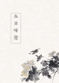 春日喜鹊免费阅读无弹窗