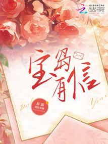 宝岛集团有限公司