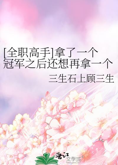全职高手的冠军