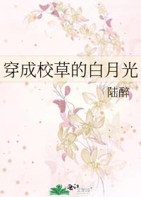 穿成校草白月光全文免费