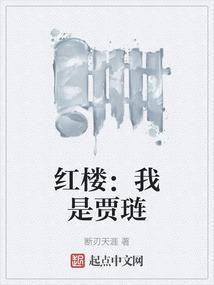 红楼我是贾链他哥