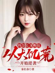 四合院之采购员支援大西北的