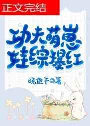功夫宝宝长什么样子