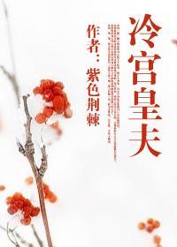 冷宫皇夫宝书网