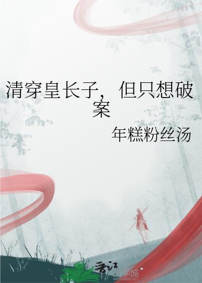 清穿皇长子免费完结