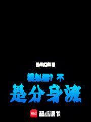 能模拟机型的分身软件