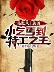 谍战从上海滩小乞丐到特工之王佚名