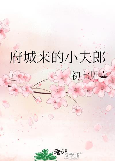 府城来的小夫郎全文免费阅读完结版