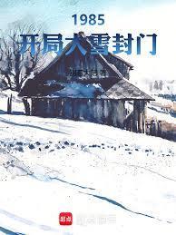 1985开局大雪封门txt