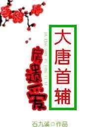 主角是大唐房遗爱的