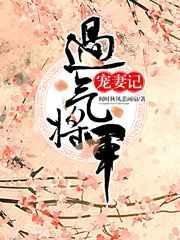 过气将军宠妻记全文阅读
