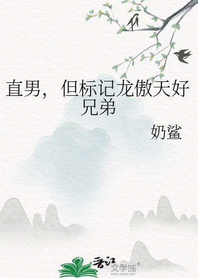 但标记龙傲天好兄弟txt云盘