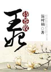 王妃代嫁