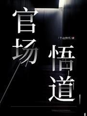 官场悟道林剑免费阅读