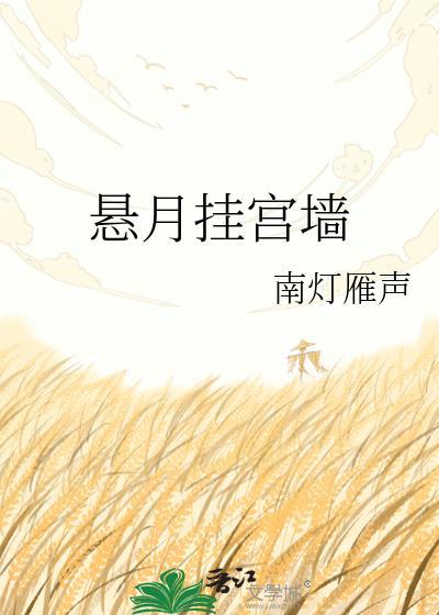 悬月挂宫墙南灯雁声txt