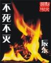 不死不灭是神墓的前传吗
