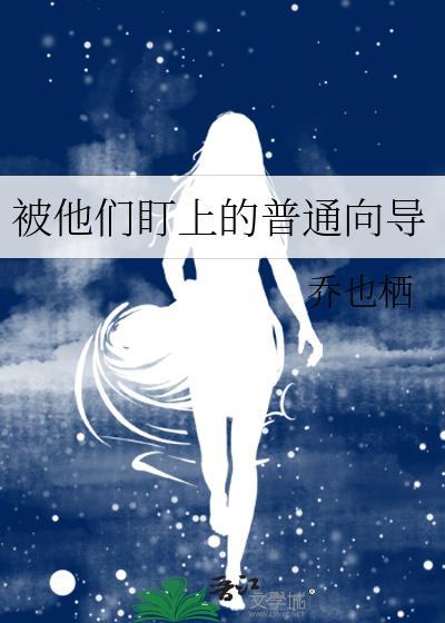 被他们盯上的普通向导