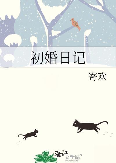 初婚日记